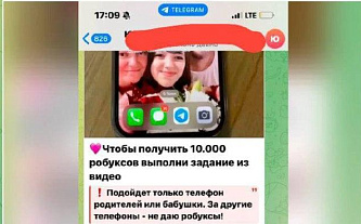 Екатерина Мизулина предупредила школьников о мошенничестве с игровой валютой