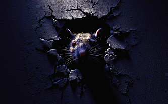 F6 и RuStore заблокировали более 600 доменов, распространявших Аndroid-троян DeliveryRAT